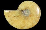 Polished, Agatized Ammonite (Cleoniceras) - Madagascar #119016-1